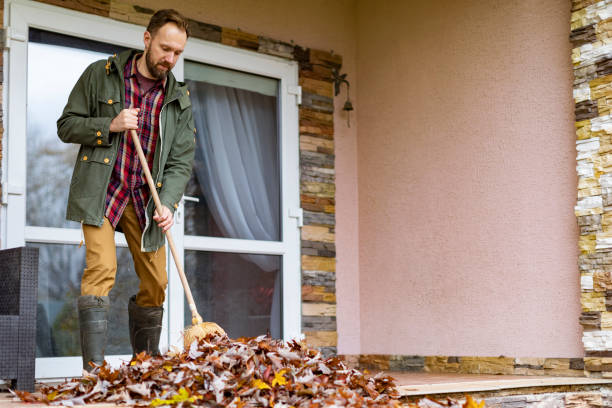 Debris Removal in Star City, AR